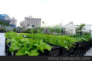 种花好,种菜更好图片,种花好,种菜更好图片大全,广州乐栽乐哉园艺产品种植科技-