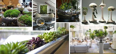 欧美家居, 欧式20种, 时尚的 室内园艺 理念, 美化您的家