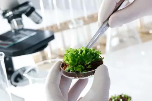 匈牙利留学 留学生回国后,这几类专业的就业最可观