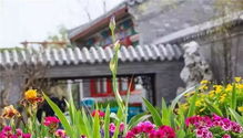 唐僧文旅推荐 世园会畅游北京园,这些景点必须打卡 持续更新