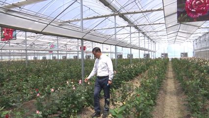 到2022年率先基本实现农业农村现代化 无锡奋力谱写乡村“强富美”新篇章