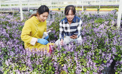 直播带货打开农产品销售新渠道