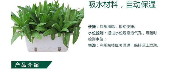 【结实耐用、绿色环保 自动恒湿盆 科学种植 园艺新产品】价格,厂家,图片,花盆、盆景盆,深圳市绿吧科技-