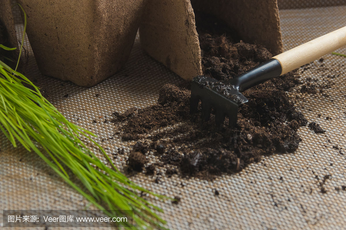 植物季节性移栽准备,园艺。产品静物图像。园林中的种植概念。