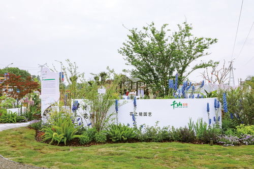 人文生态园是什么意思 今日头条