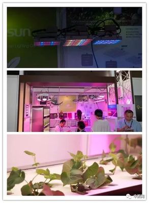 2018香港国际春季灯饰展三大看点!