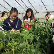 西北农林科技大学园艺学院