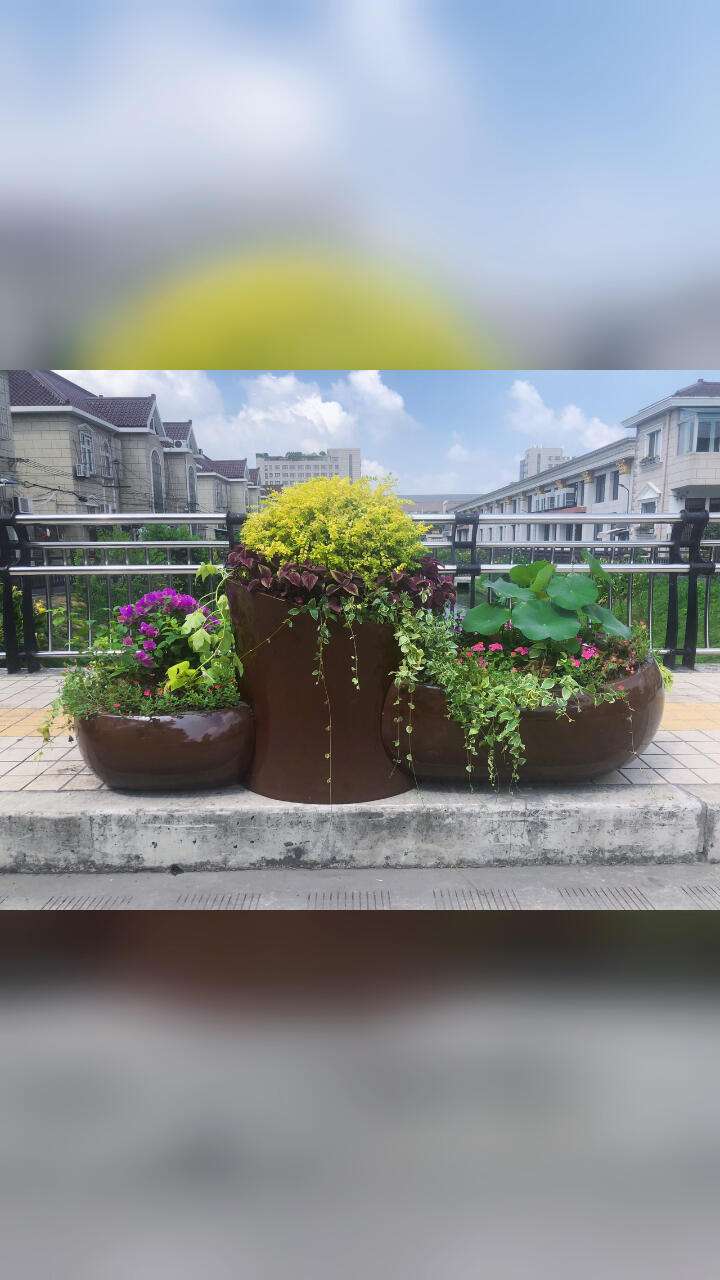 花箱园艺产品摆放