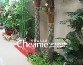 成美仿真桫椤树 工艺与园艺种植的完美结合